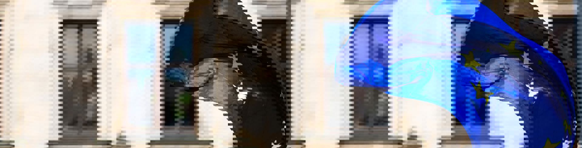 EU flag
