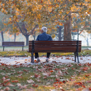 Elderly man on a bench